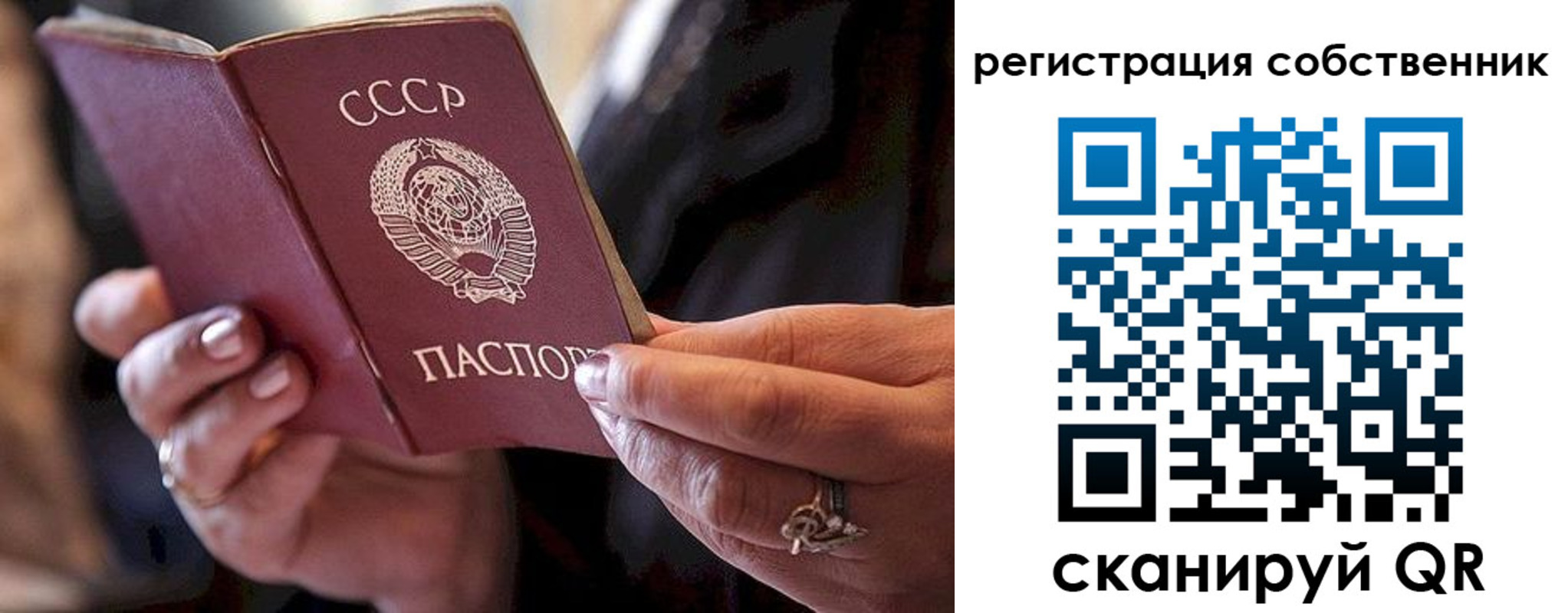 временная регистрация для всех в Димитровграде