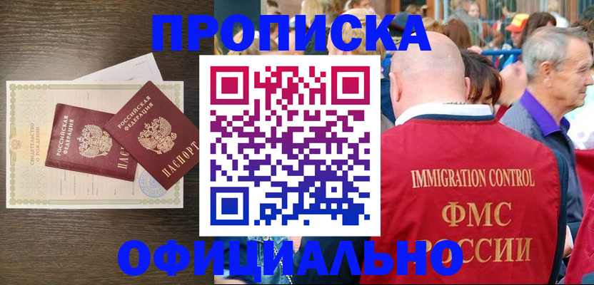 прописка 2025 в Димитровграде